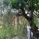 ヴィラ Lavish Seaside With Garden And Stunning Views