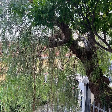 Villa Lavish Seaside With Garden And Stunning Views