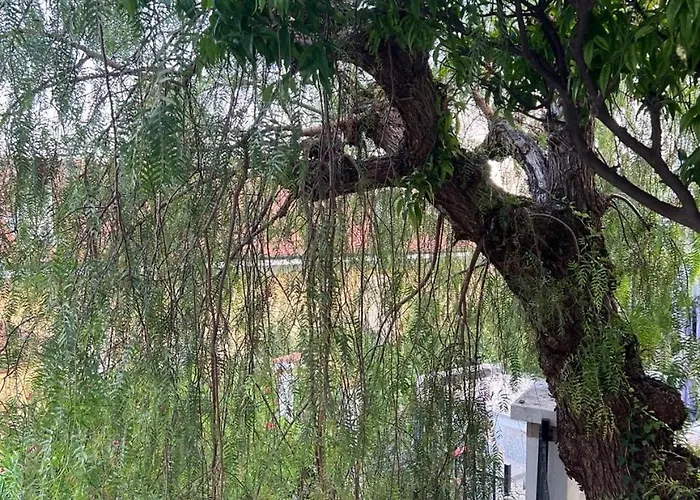 Villa Lavish Seaside With Garden And Stunning Views